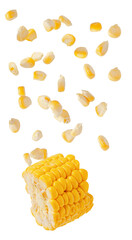 realistic photograph showing a section of sweet corn on the cob with bright yellow individual...