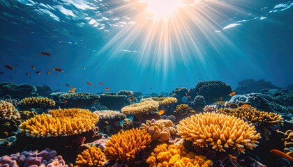 Underwater coral reef teeming with small fish illuminated by bright sunbeams piercing the turquoise ocean surface creating a vibrant aquatic ecosystem scene