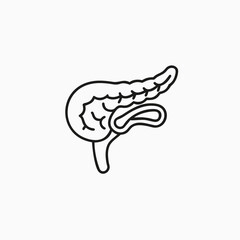 pancreas line art icon silhoutte vector template