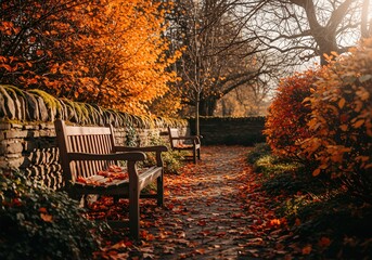 Park benches rest amidst autumn foliage in a UK garden