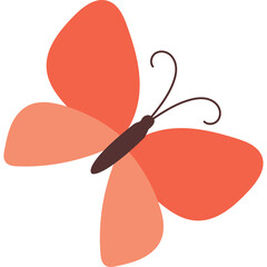 Coral orange butterfly with dark brown body and curled antennae isolated on transparent background