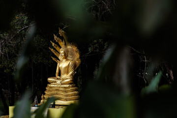 statue de bouddha dans la for&ecirc;t