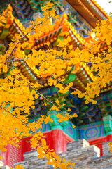 Obraz premium traditional chinese style architecture