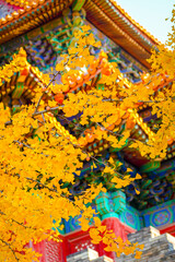 Fototapeta premium traditional chinese style architecture