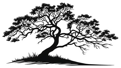 Elegant silhouette of a lone tree with lush foliage on a hill