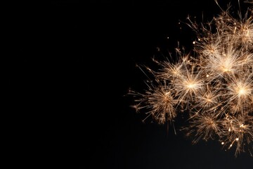 Fototapeta premium Sparkling fireworks illuminate dark sky, creating festive atmosp