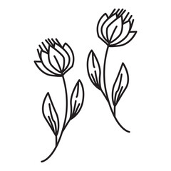 Floral spring vektor for your project. vector clover pattern, flower drawing