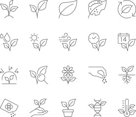 Collection of editable stroke plant line icons for nature and gardening designs