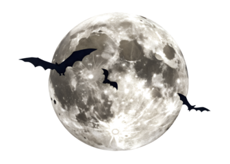Flying Bats Silhouetted Against Full Moon isolated on Transparent Background