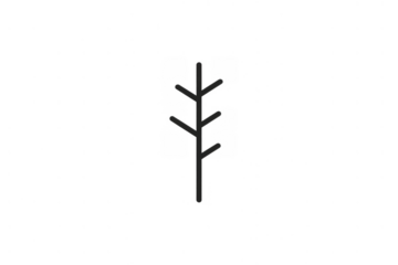 Bare tree line art icon on transparent background showing growth, nature, and organic symbol