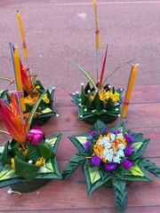 flowers in the garden, leaf