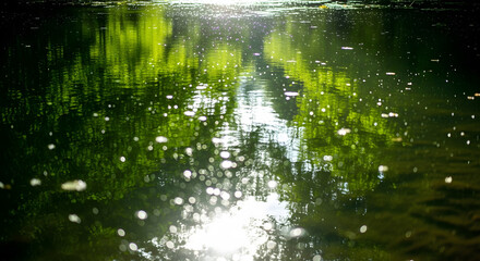 Abstract Blurry Sparkling Reflection of Trees in Water Body Landscape