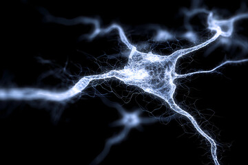 Neural Network Connection