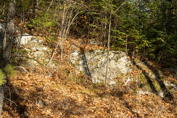 A rock outcrop in the autumn forest 