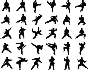 Martial arts silhouettes, karate poses, black belt training, fighting stances, self-defense moves, taekwondo action, combat skills vector set