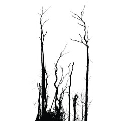 Silhouettes of bare trees with branches isolated on white. Black and white vector illustration
