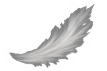White fluffy plume feather vector element floating, soft angel wing illustration for design transparency