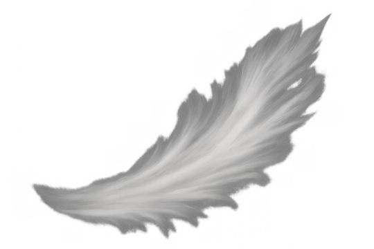 White fluffy plume feather vector element floating, soft angel wing illustration for design transparency