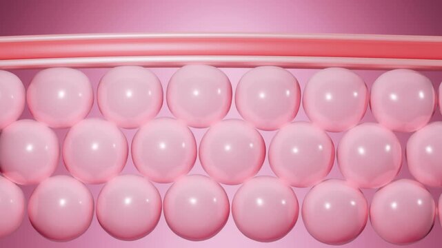 3D animation showing pink skin layers. cosmetic explainer, skincare science, representing hydration, rejuvenation, advanced skincare absorption for enhanced beauty and wellness, and anti-aging product