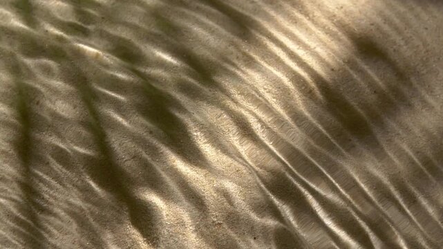 Close-up water surface ripples and splash, palm tree leaf shadow on sand texture