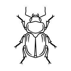 Beetle Line Art Clipart – Insect Outline Vector Illustration
