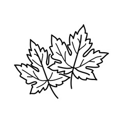 Maple Leaf Icon