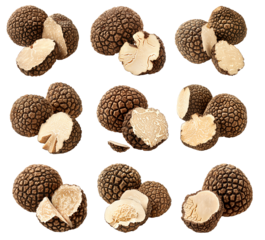 Set of summer truffles Burgundy isolated on white transparent background, great for culinary and gourmet themes