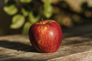 A single, crisp red and yellow striped apple is centrally placed on a weathered wooden surface, bathed in sunlight, with lush green leaves and a blurred natural background.