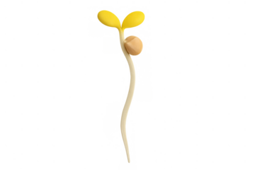 Sprouting plant seedling growing, symbolizing new life, growth, and sustainable agriculture on transparent background