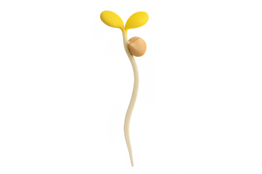 Sprouting plant seedling growing, symbolizing new life, growth, and sustainable agriculture on transparent background