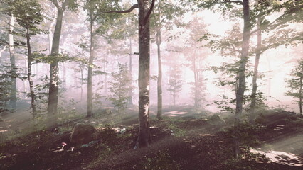 Soft beams of light pierce through a lush green forest, illuminating the tranquil surroundings. The early morning air is fresh and calm, bringing a sense of peace to natures beauty.
