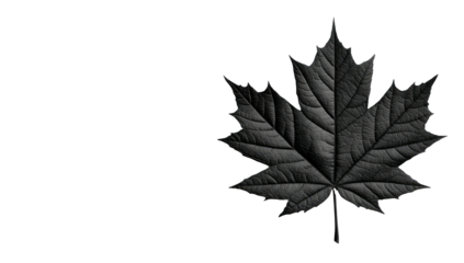 Monochrome maple leaf silhouette against a dark background