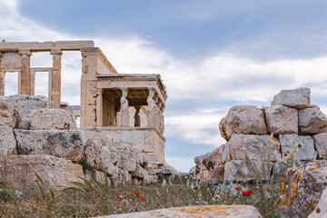 Obraz premium Close up, vertical shot of a bright red poppy growing on a background of ancient stone ruins. Captures the beauty and fragility of wild nature