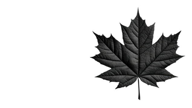 Monochrome maple leaf silhouette against a dark background