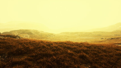 Obraz premium A tranquil valley stretches out under a golden haze, with soft grass swaying gently. Faint mountains rise in the background, creating a peaceful atmosphere at dawns early light.