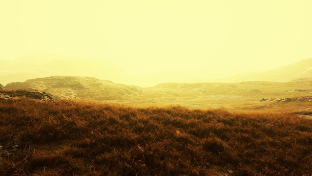 A tranquil valley stretches out under a golden haze, with soft grass swaying gently. Faint mountains rise in the background, creating a peaceful atmosphere at dawns early light.