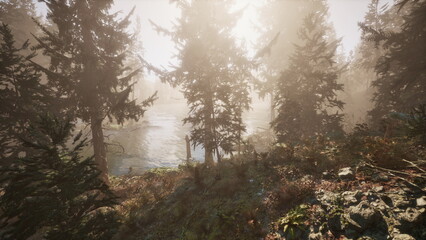 Obraz premium Soft sunlight shines through tall trees, illuminating a peaceful riverbank. The scene showcases the beauty of nature in the early morning, inviting tranquility and reflection.