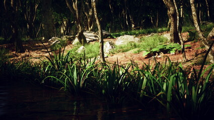Bright green grass grows along the edge of a still body of water surrounded by trees. Sunlight filters through the leaves, creating a peaceful atmosphere in this natural setting.