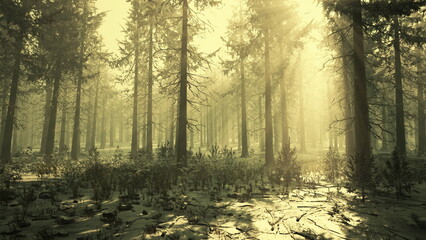 Obraz premium Soft, warm sunlight pours through a canopy of tall trees in a serene forest. The ground is dotted with snow and surrounded by lush greenery, creating a peaceful, inviting atmosphere.