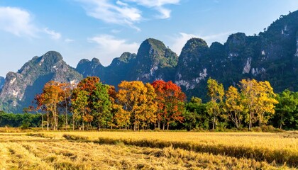 Limestone mountains and teak trees shedding leaves in the fields