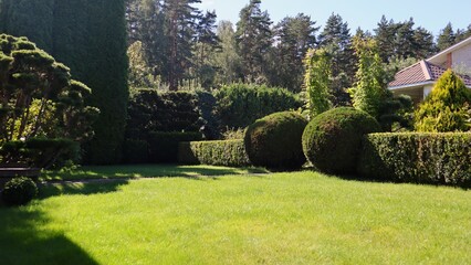 Formal summer garden design featuring manicured topiary hedges, green lawn, landscaping elements, and dense foliage