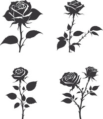 set of rose