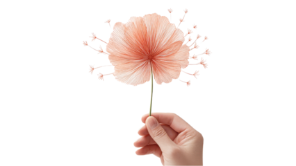 Hand Holding Delicate Abstract Flower on White Background