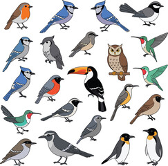 Obraz premium This is a comprehensive set of various bird types, excellent for educational and nature-themed content.