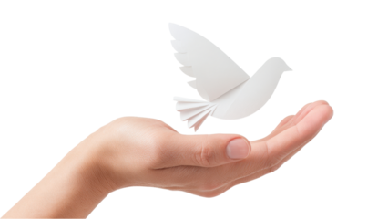 White Dove: Symbol of Peace, Freedom, and Hope in Hand