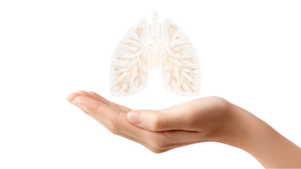Hand Holding Lungs: Healthcare Concept for Respiratory Health