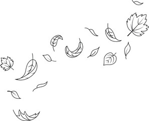 Hand drawn autumn leaves falling set in doodle style with maple leaf outline isolated on transparent background.