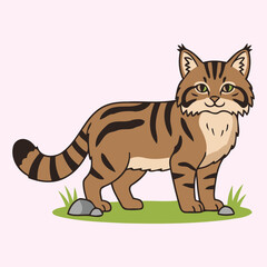 Cute Scottish Wildcat — Endemic Wildlife of United Kingdom | Flat Vector Illustration