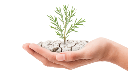 Hand Holding Seedling in Cracked Soil: Environmental Awareness and Growth Concept