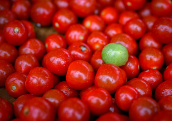 Close-up image of a pile of fresh red tomatoes with a green tomato in the middle.